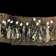 Image for article titled Glass architecture is killing millions of migratory birds